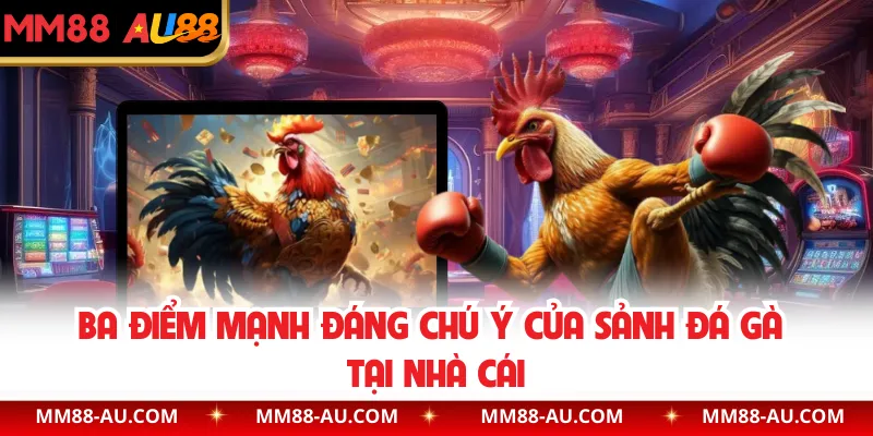Ba điểm mạnh đáng chú ý của sảnh đá gà tại nhà cái