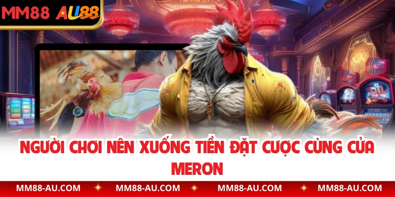 Người chơi nên xuống tiền đặt cược cùng cửa Meron