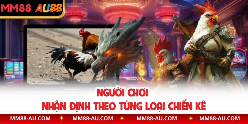 Người chơi nhận định theo từng loại chiến kê