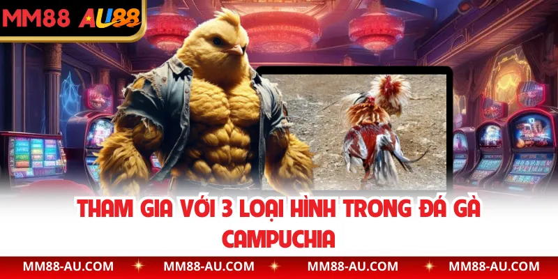 Tham gia với 3 loại hình trong đá gà Campuchia