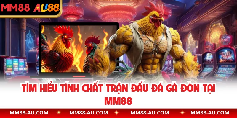 Tìm hiểu tính chất trận đấu đá gà đòn tại MM88